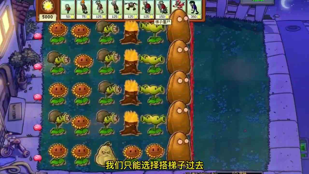 植物大战僵尸：升级无名版！难度增加！小鬼头的无限挑战2！