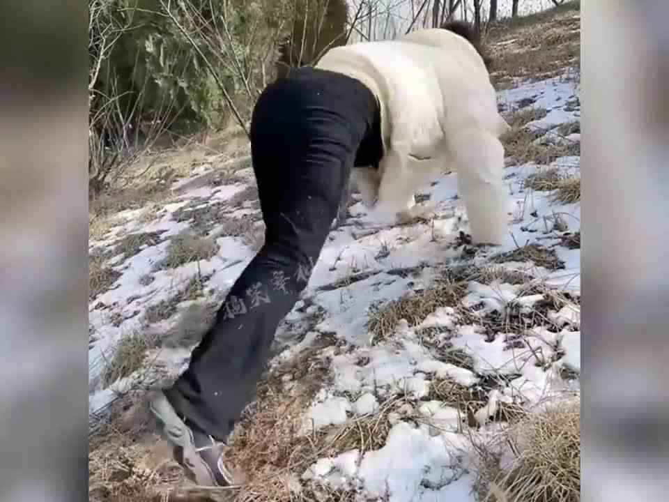 放炮失误名场面