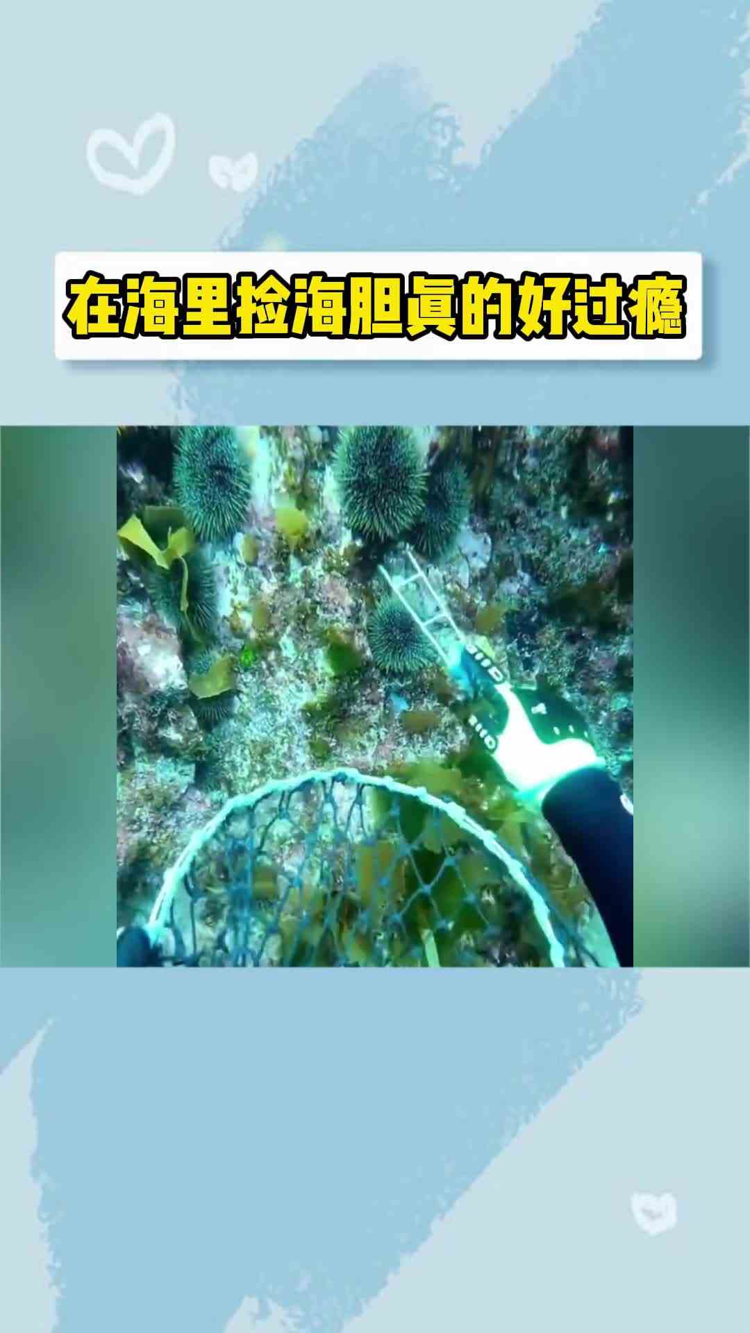 友情提示，看视频可以呼吸