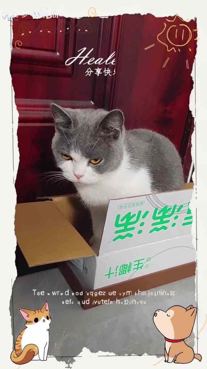 【施予梦】最新视频来袭，快来看看吧！
