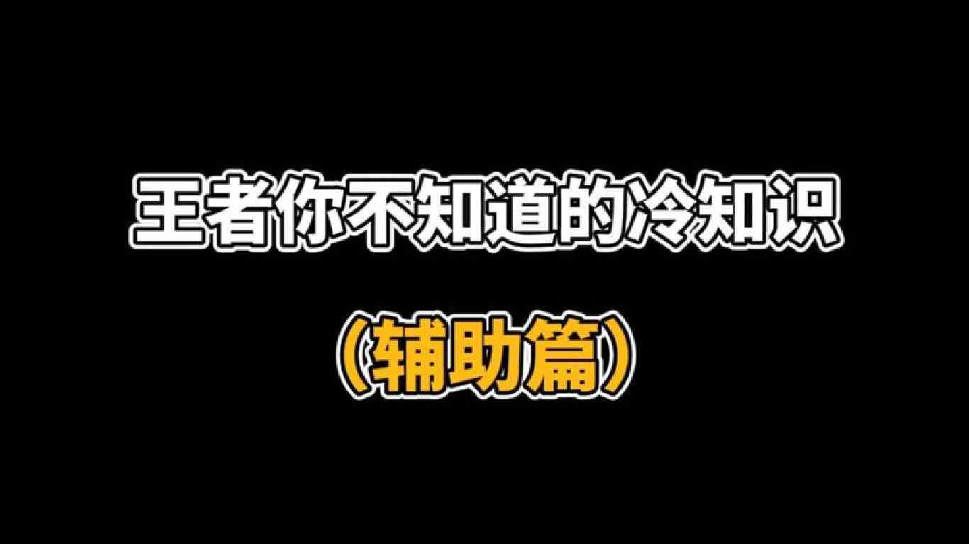 王者你不知道的冷知识（辅助篇）#细节操作
