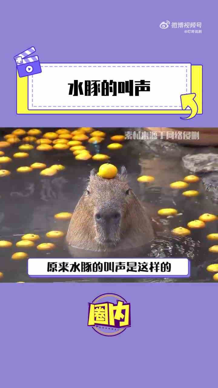真的很像电动车解锁哈哈哈哈哈