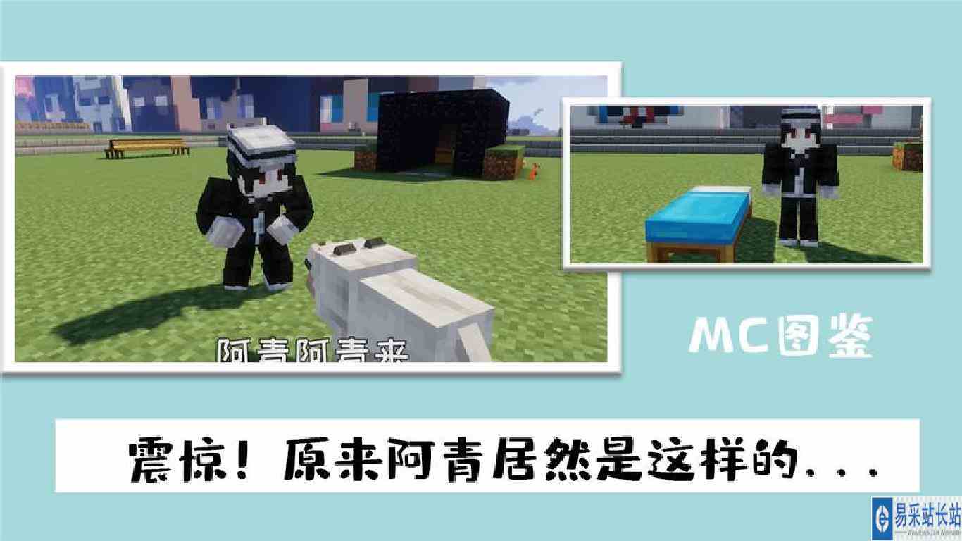我的世界：mc图鉴，动物与303快乐器
