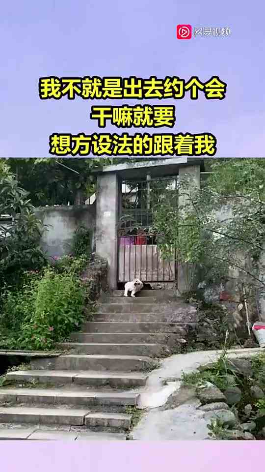 每次趁我出门，都偷偷溜出去，这次终于被我蹲到现行了！ （1）