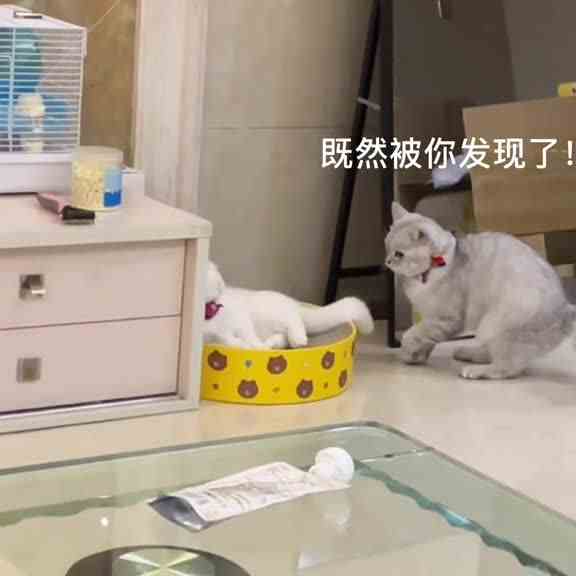 想跑？？？？来不及了！！