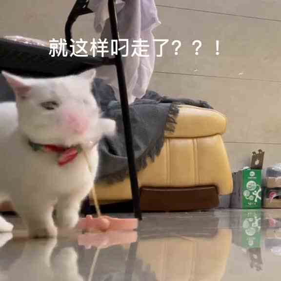 怎样拽吗？不拽？你想吃奶盖拳头吗？Q（`⌒′Q）