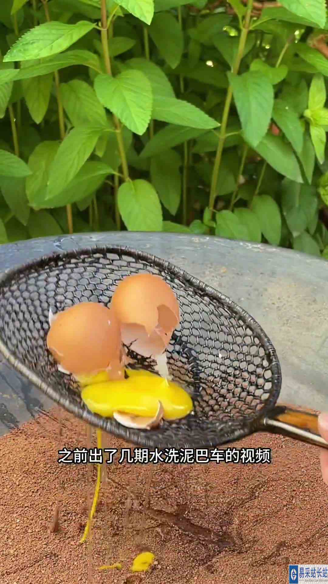 80 这次你们大家怎么说