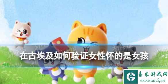 网1