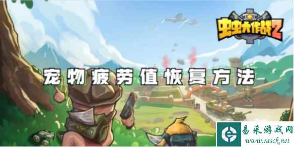 网1