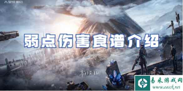 网1