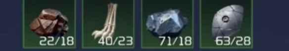 网10