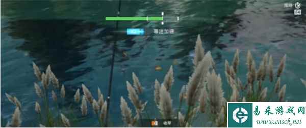 《星球重启》养鱼方法一览