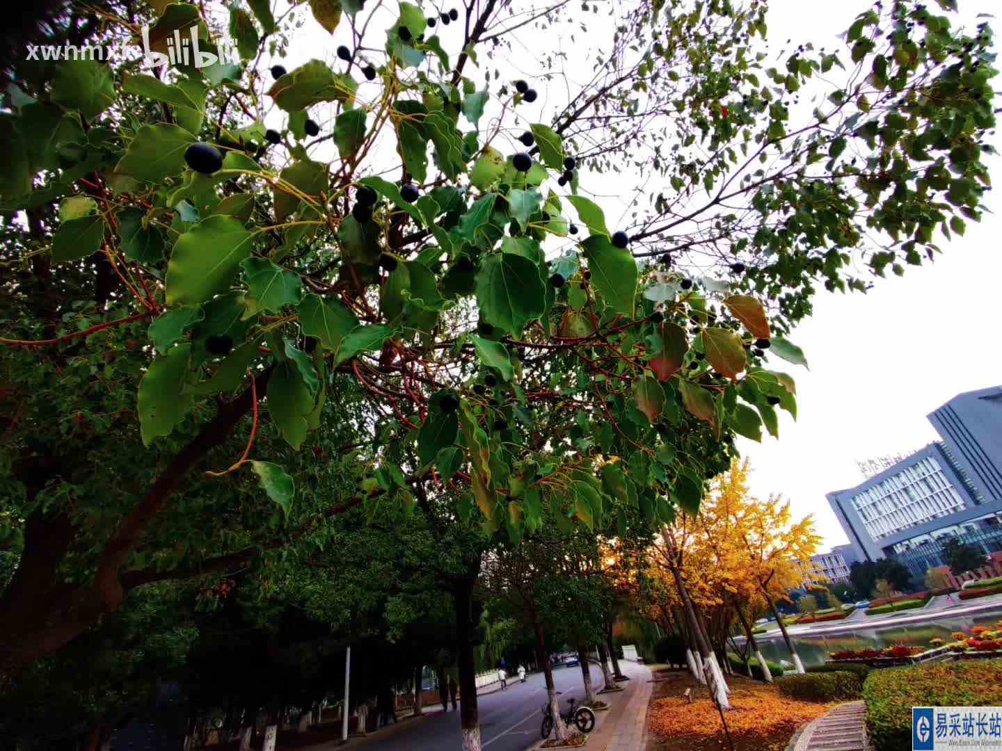 takes萨尔破路跳楼咯哦啦是