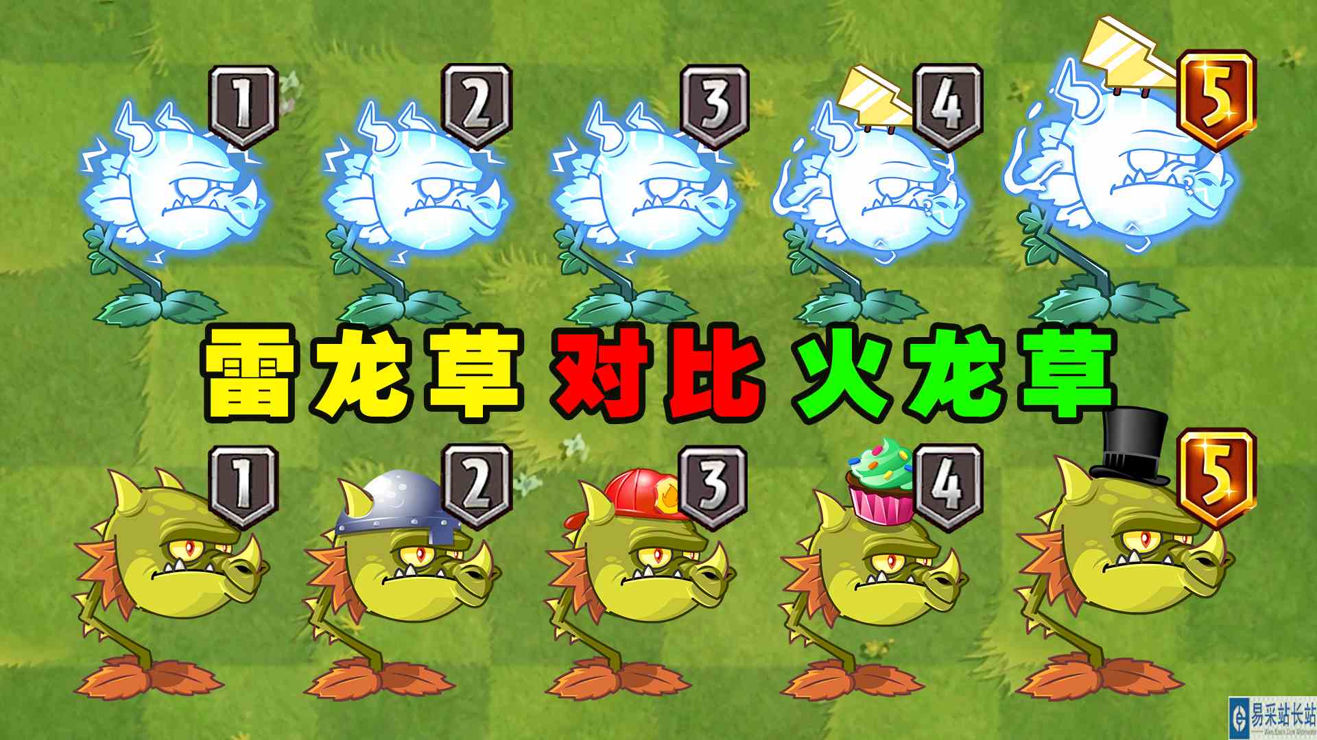 雷龙草和火龙草1至5阶测评，雷与火的碰撞谁更强？