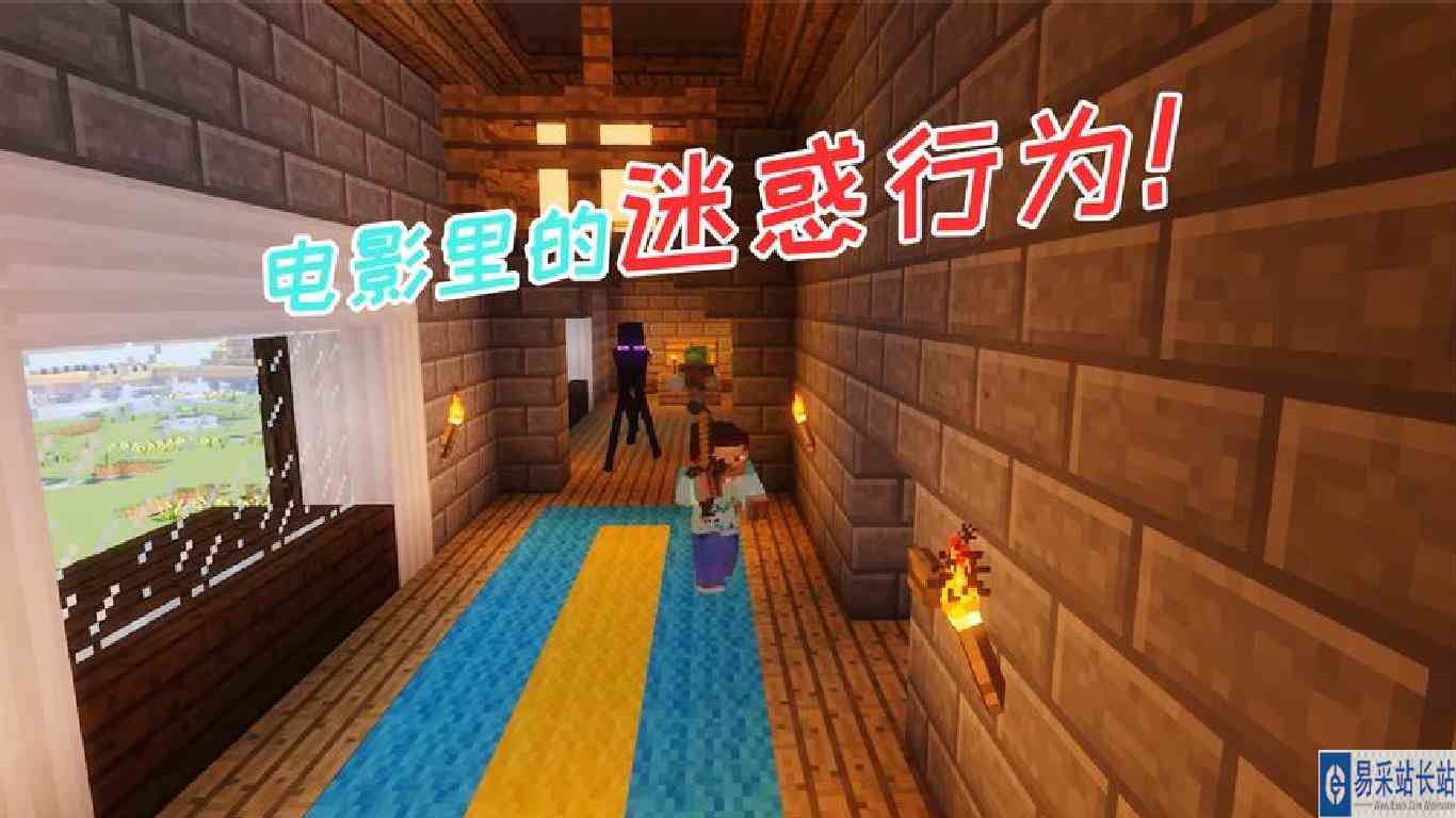 我的世界：电影里的迷惑行为