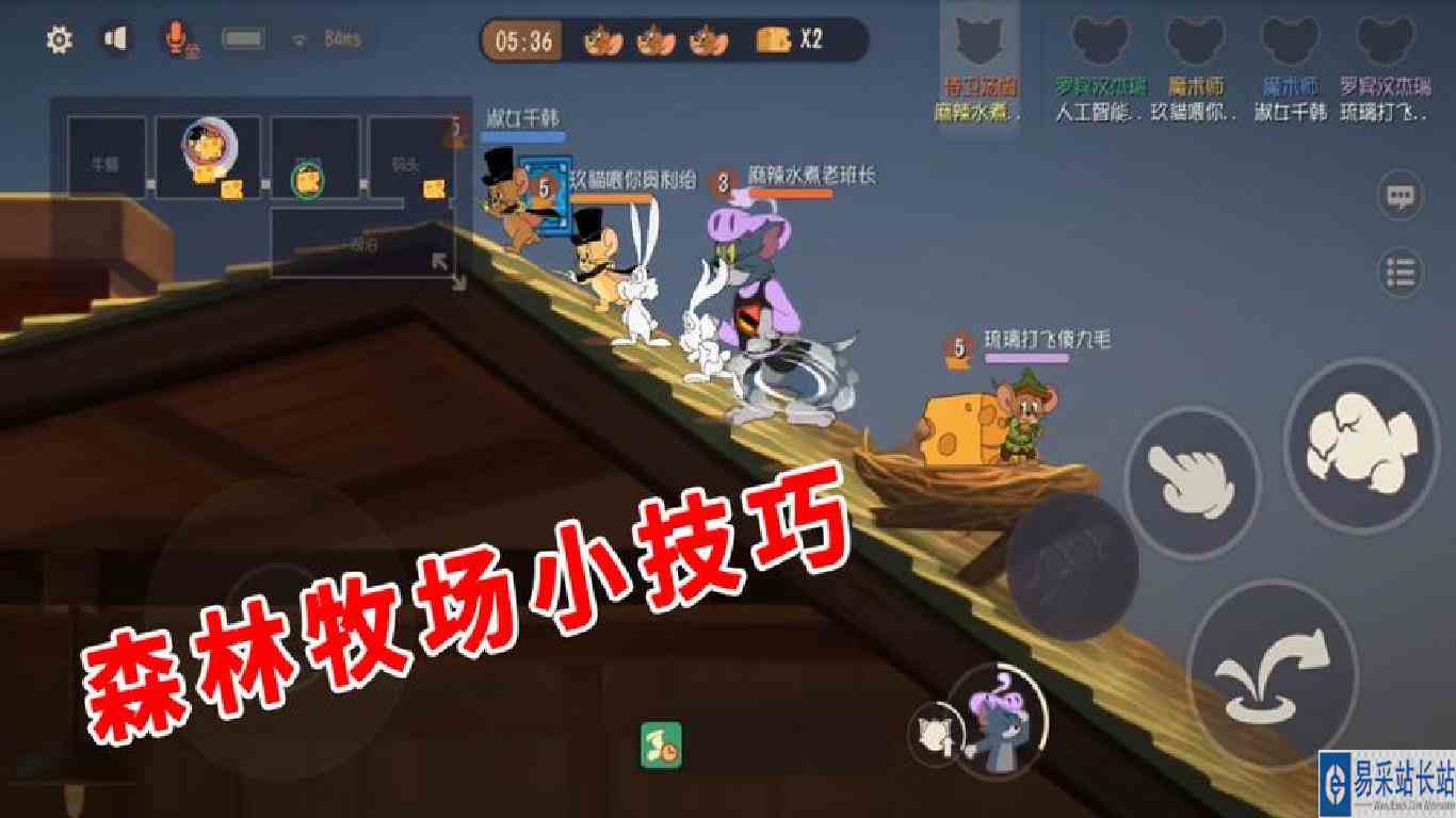 猫和老鼠手游：森林牧场上线，鸟窝以物换物，摘野花获得buff