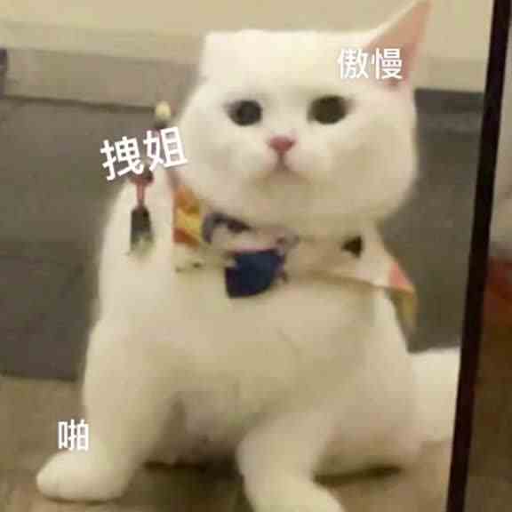 我很丑吗？那我走？？