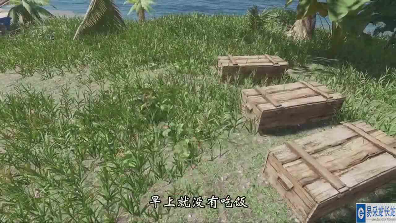 荒岛求生：一早就去探索周围的沉船，还抓到了一条彩色的鱼