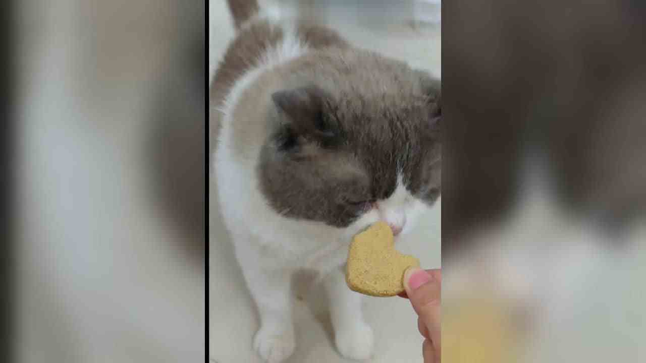 大吉：冻干真好吃，竟然现在才给我吃！！！