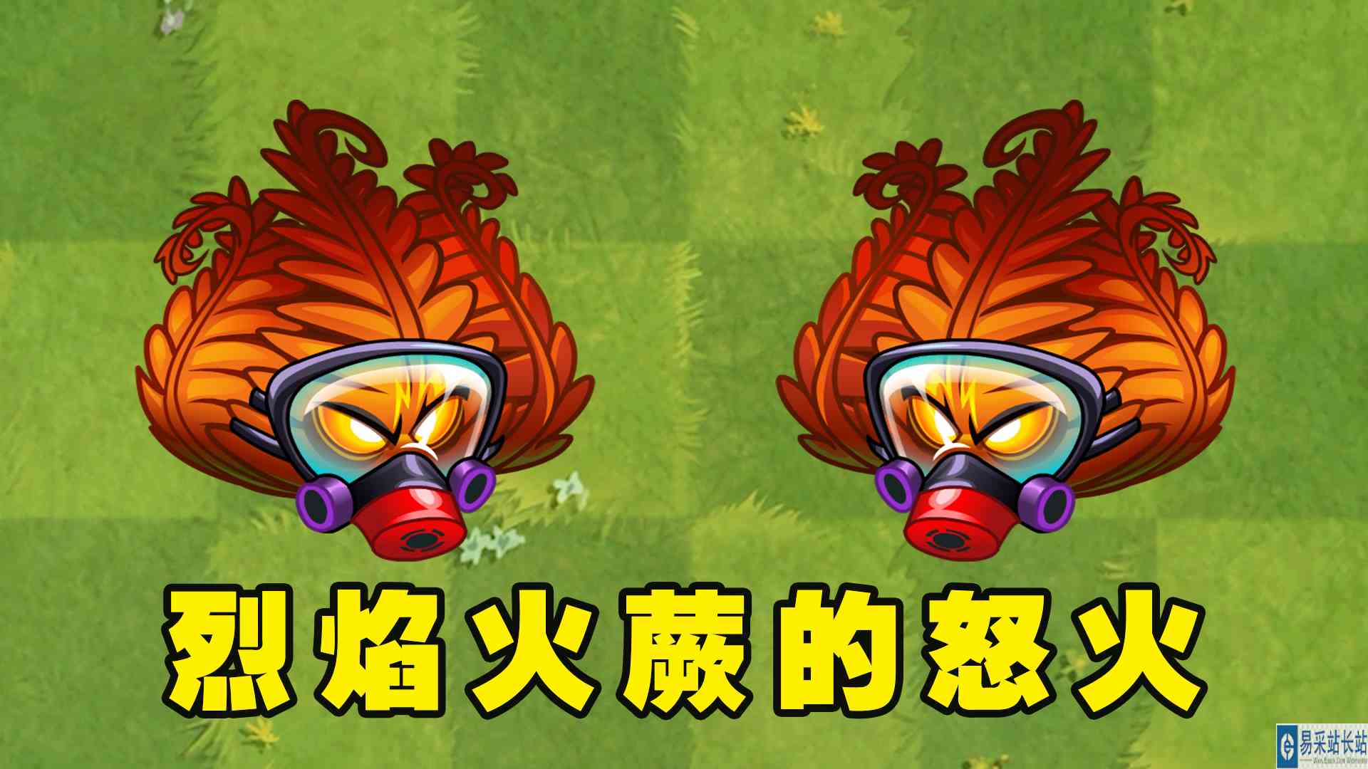 植物大战僵尸2：越气越急的烈焰火蕨，1至5阶火龙卷有多强？