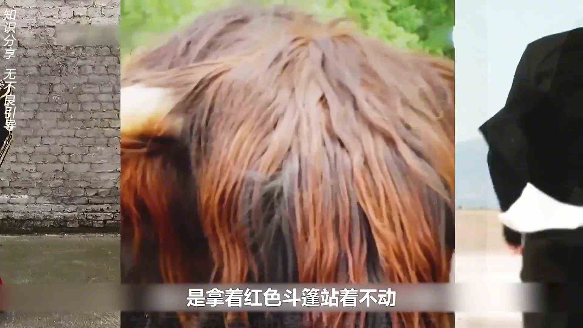 生死大闯关九条命游戏，看看你能猜对几道题