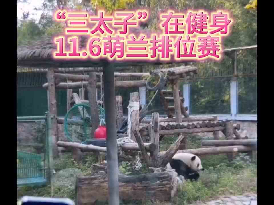 来看“三太子”健身啦—北动萌兰排位赛雨心直播间录屏
