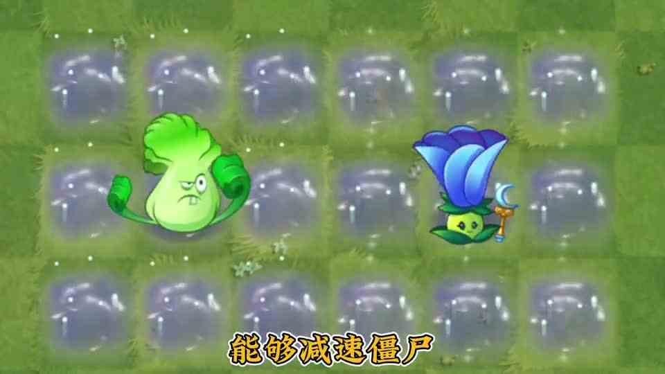 植物大战僵尸：新植物寒冰菇试玩，和1代对比完全是新植物！