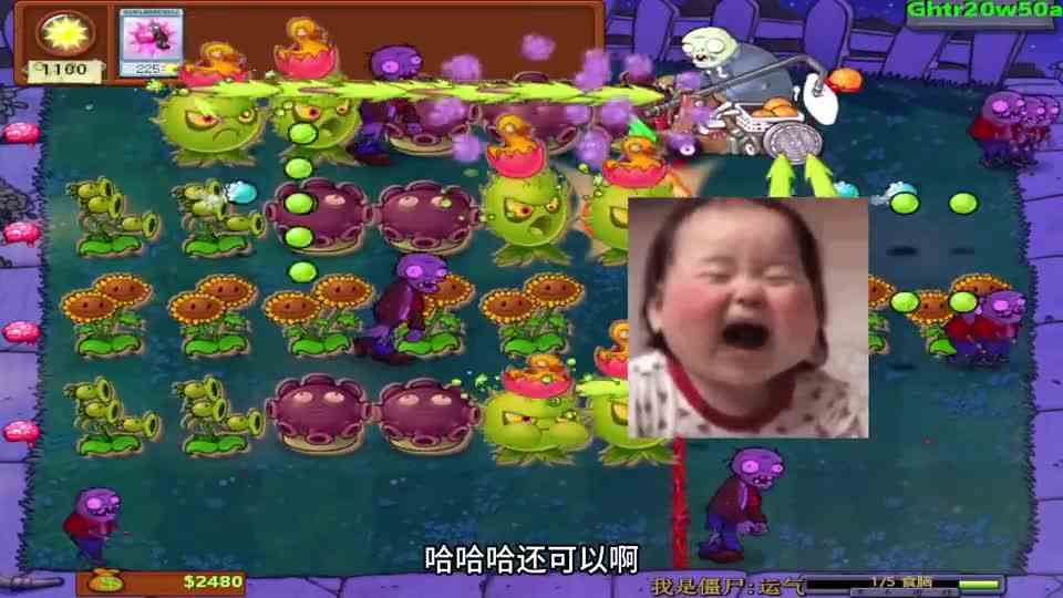 植物大战僵尸：这波打完，不知道负债了多少阳光，绷不住了啊