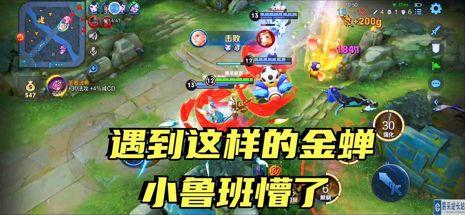听说过切后排的金蝉吗？把对面鲁班打懵了，鲁班：金蝉好恶心！