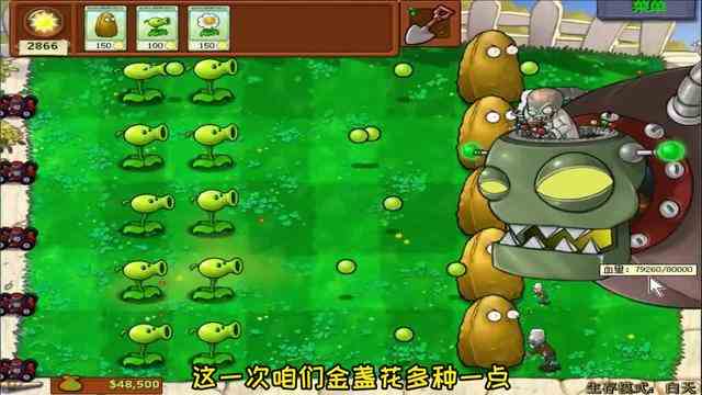 植物大战僵尸：无名版“魔术金盏花”再次挑战“僵尸博士”！