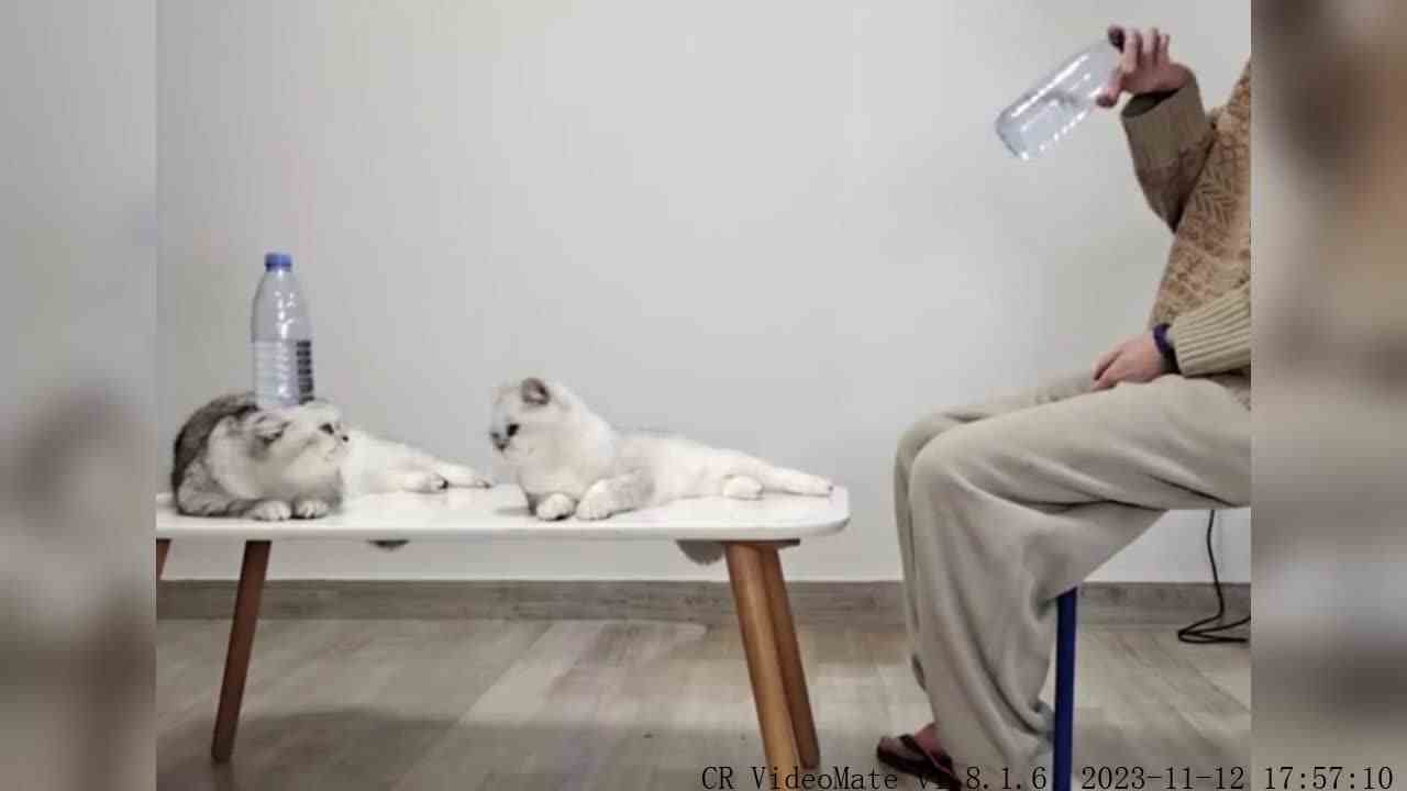 惊喜与快乐总是那么突然