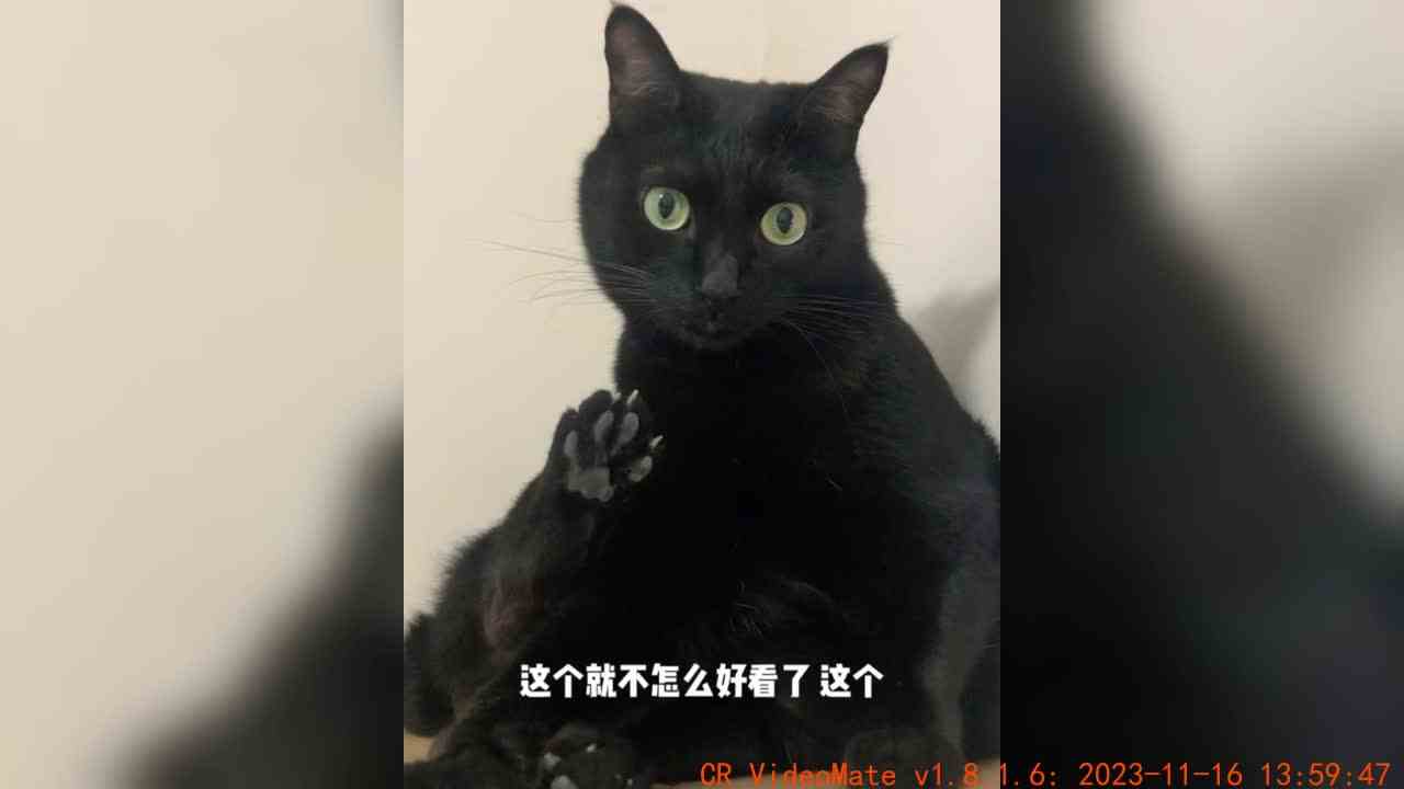 老实说，我最喜欢第三张，有没有跟我一样的？