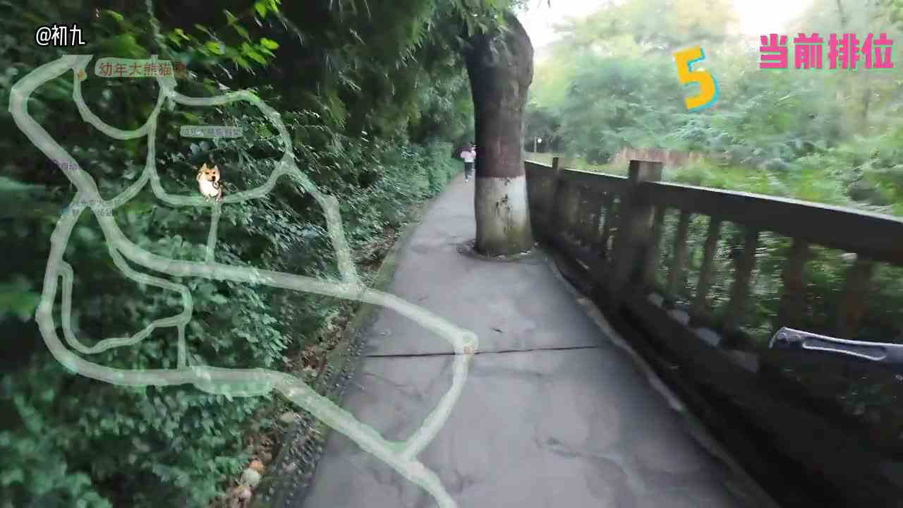 11月13日花卷赛 wendy是真强 两手不摆臂还能前5