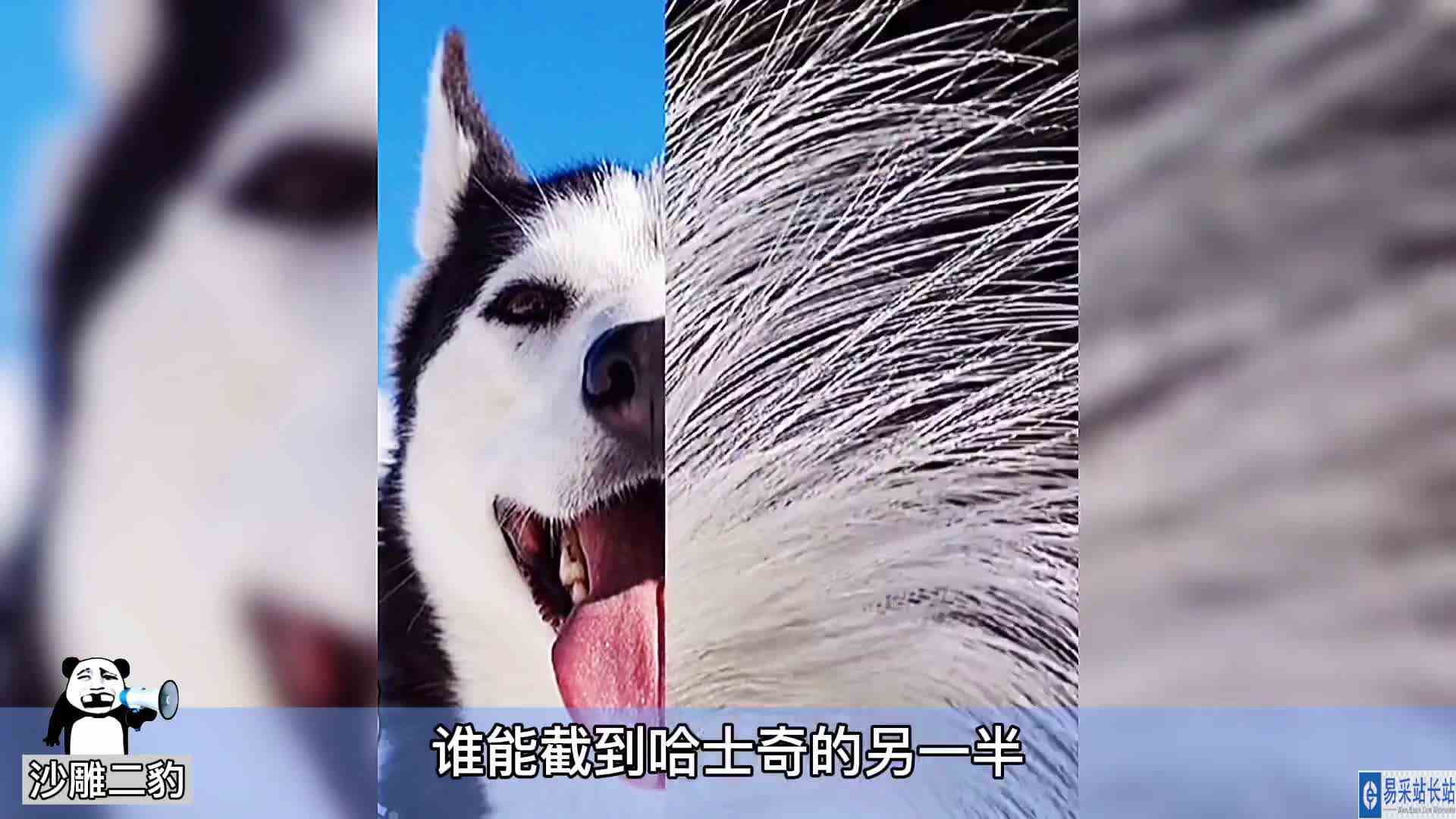 卖家秀，这水也太深了ok