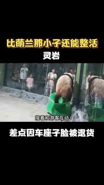 比萌兰那小子还能整活，灵岩！差点因为车座子脸被退货 （1）
