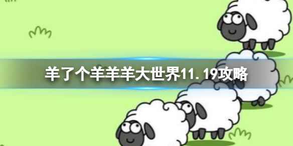 网1