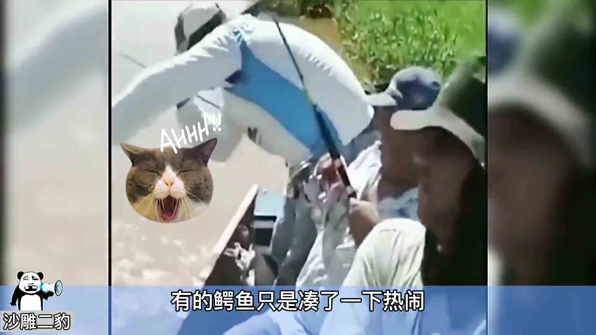 不要张开腿放pok