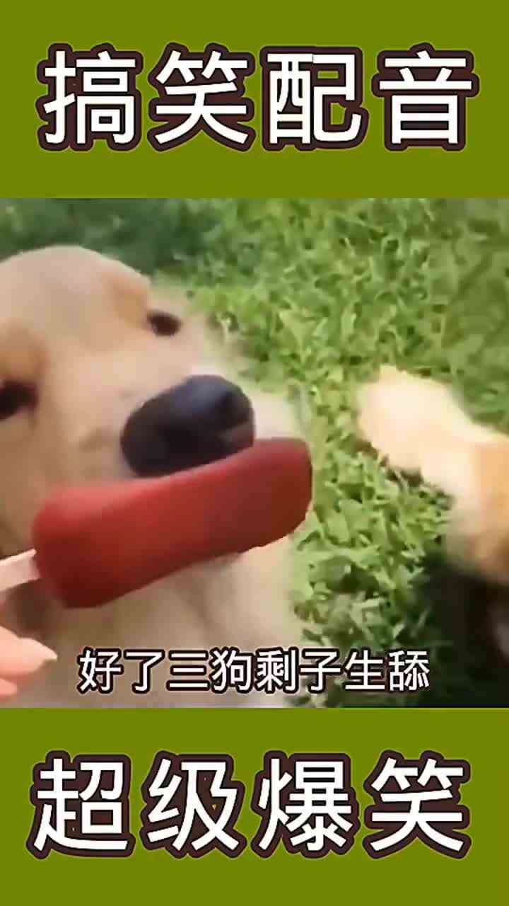 还是3狗剩子聪明一口解决4ok