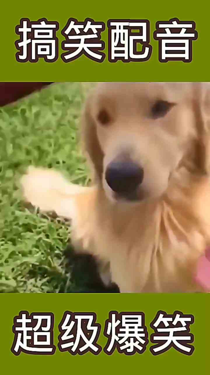 还是3狗剩子聪明一口解决cok
