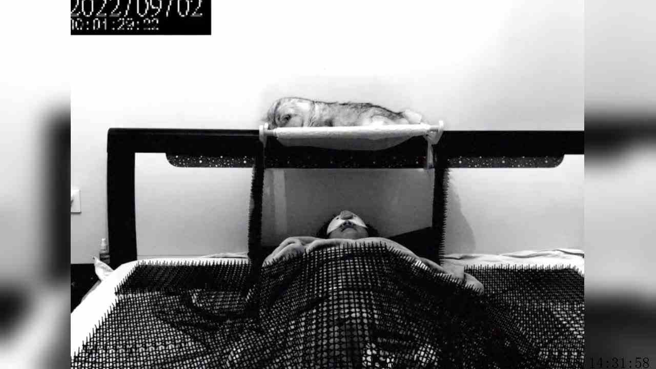 尼莫：意不意外？