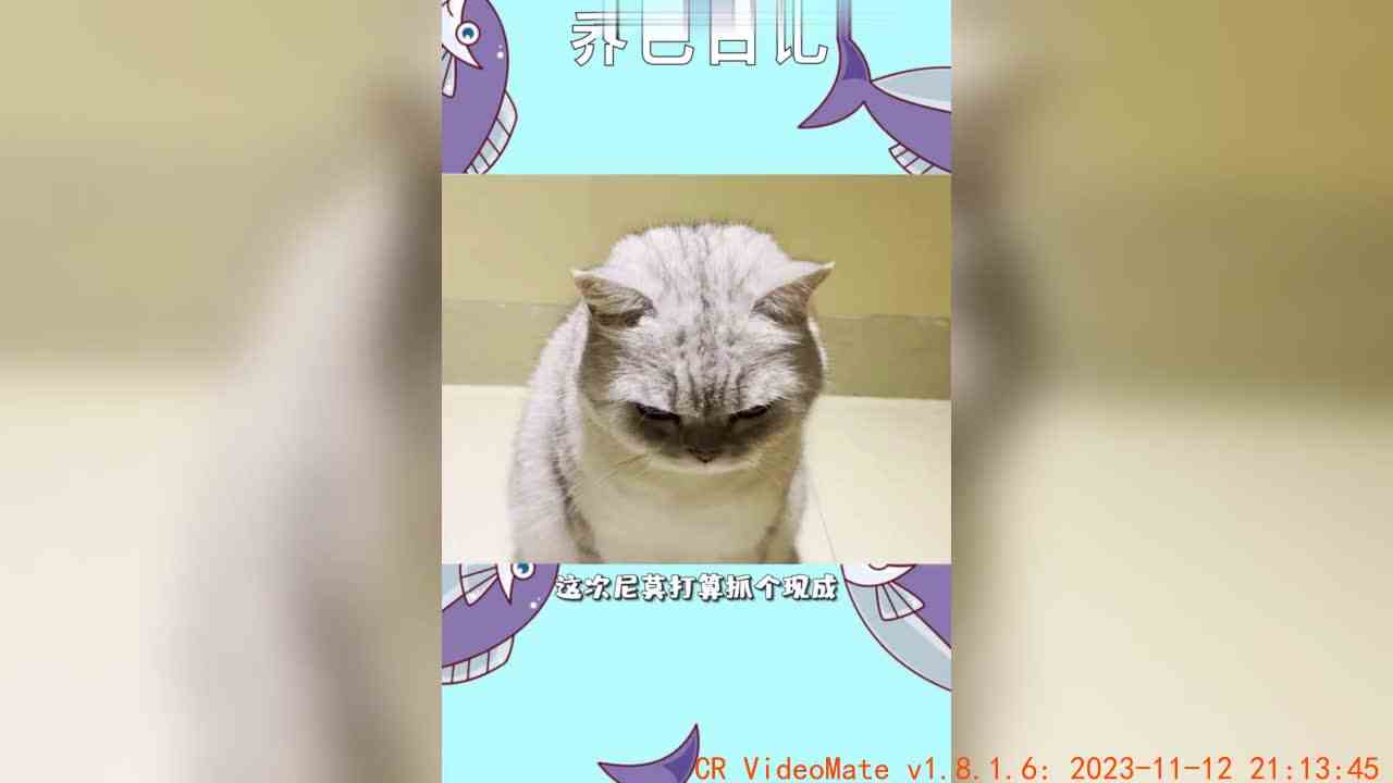 让你模仿，没让你超越