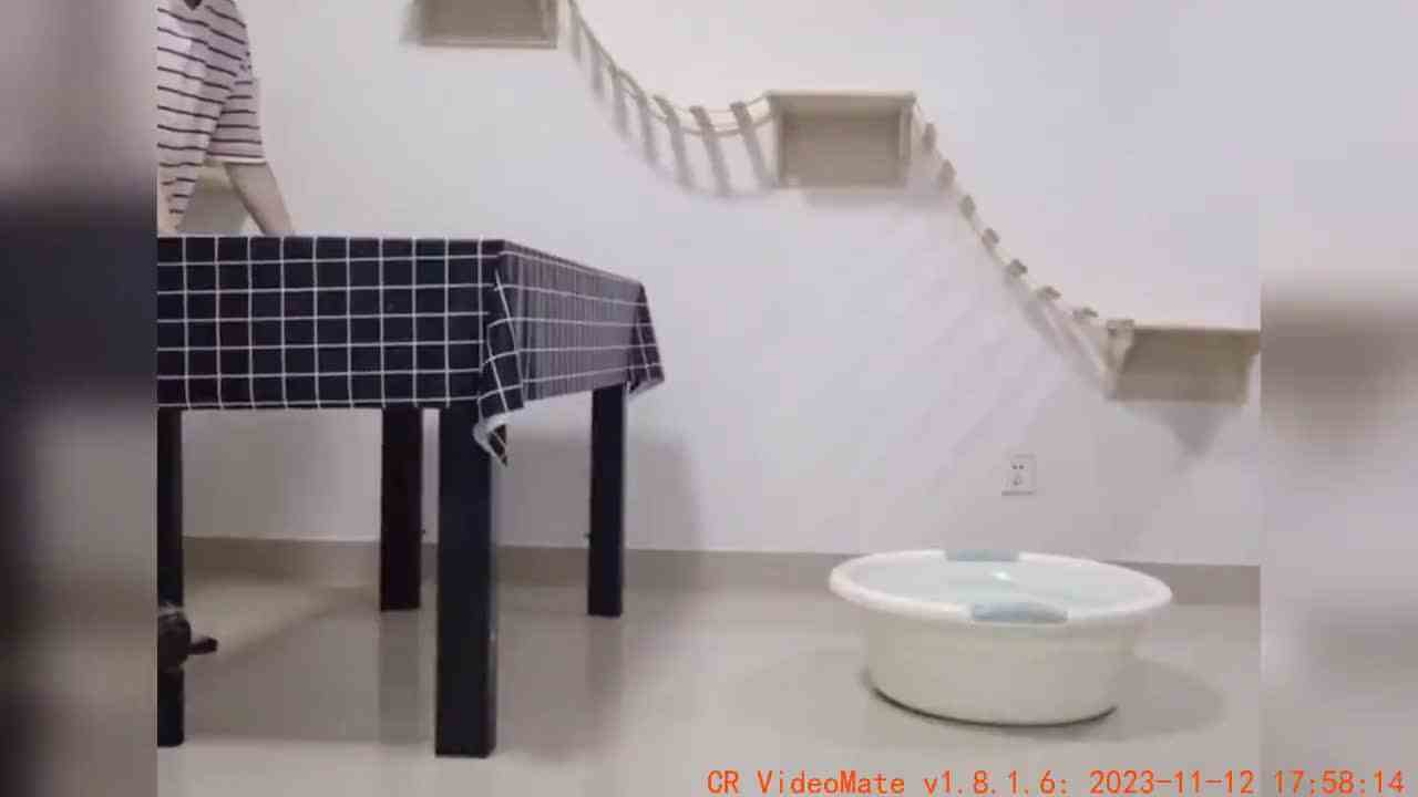 你不会知道新技能的背后我失去了什么
