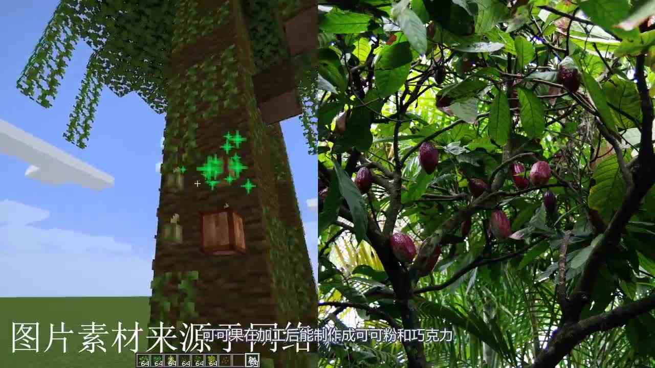 我的世界：鉴定MC原版树木种类！我的世界VS现实世界！