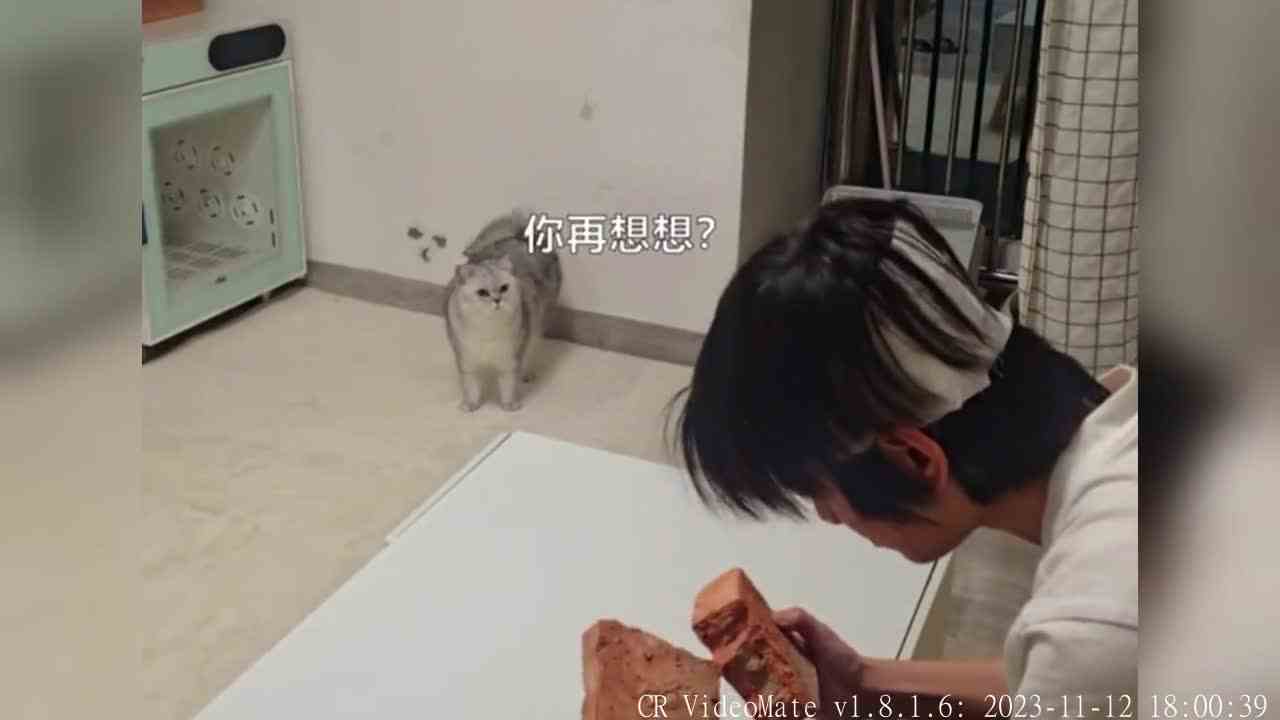 我猜到了开头，却没想到截图