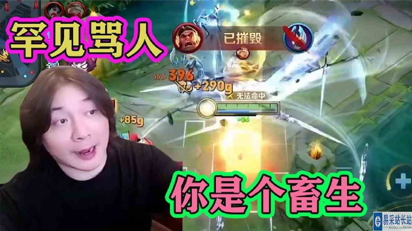 张大仙罕见直播骂队友是畜生，让官方封他的号，这种人不配玩王者