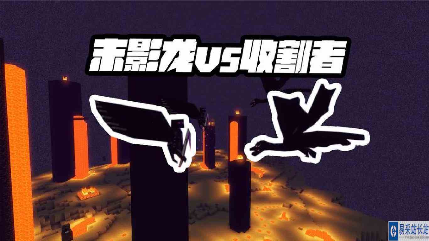 我的世界：灵魂收割者对决末影龙，谁才是末地之王？