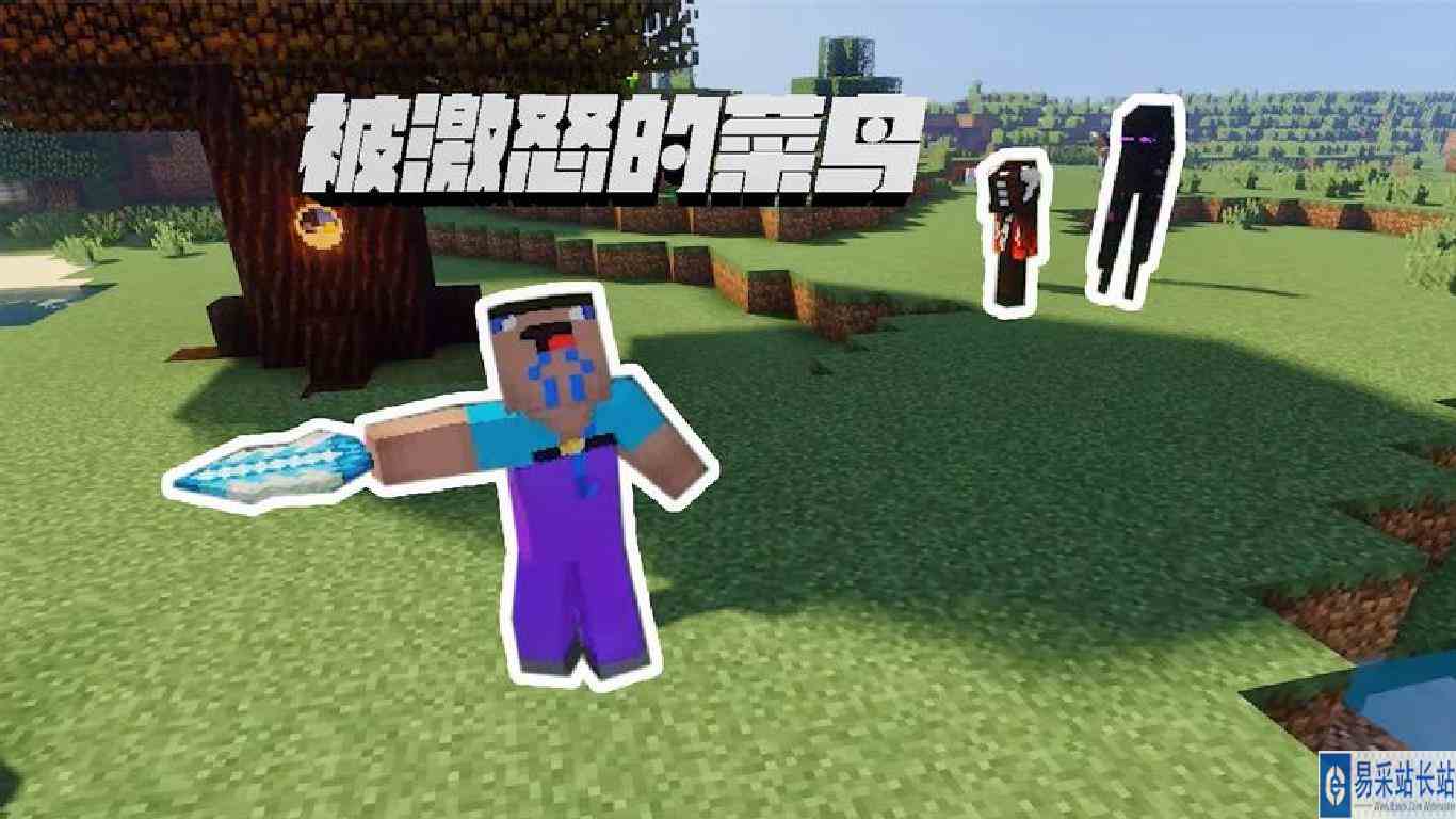 我的世界：被激怒的菜鸟