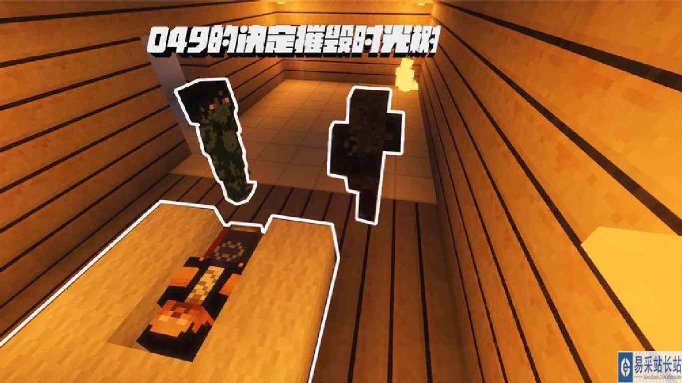 我的世界：049的决定