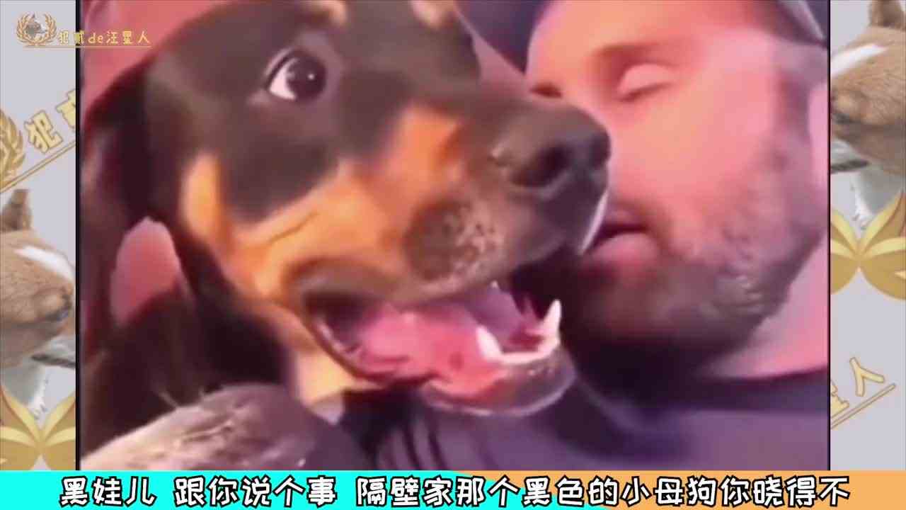这游戏可真上头！
