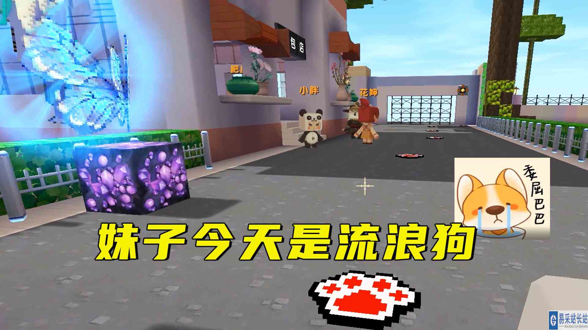 迷你世界：体验流浪狗，吃不饱穿不暖，还要被人驱逐